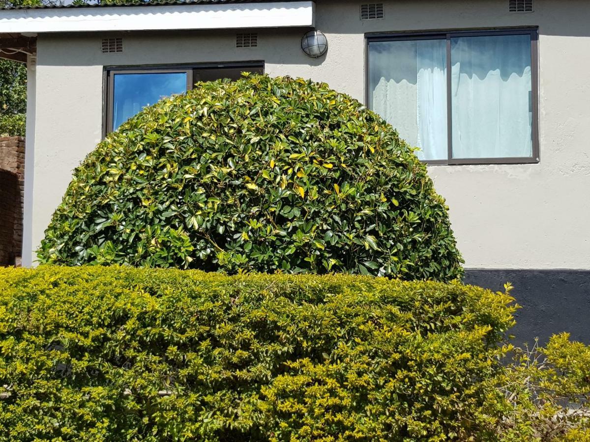 Chinyonga Guesthouse Limbe 外观 照片